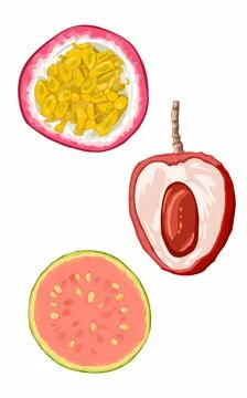 Half a piece of fresh lychee  guava  and passion fruit issolated on white  Stock Illustration