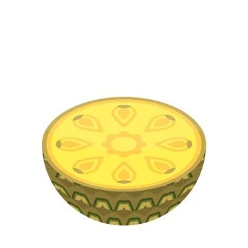 Half pineapple icon, isometric style Stock Illustration