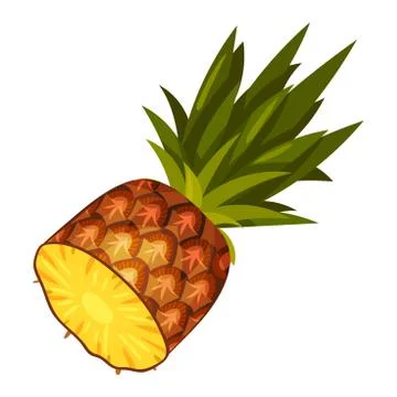 Half a pineapple. Vector illustration on a white background. Stock Illustration