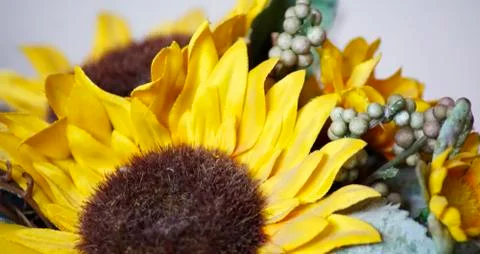 Half plastic sunflower Stock Photos