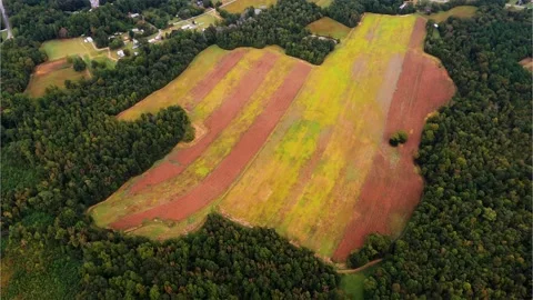 A Half Plowed Field That is Brown and Green and Surrounded by Trees Stock Footage 140368028
