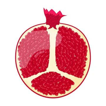 Half of pomegranate isolated on white background. Flat vector illustration Stock Illustration