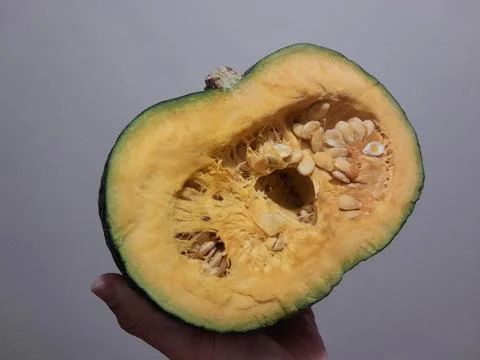 Half of Pumpkin vegetable piece on human hand 스톡 사진