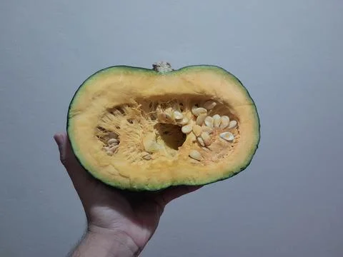 Half of Pumpkin vegetable piece on human hand Fotos Stock