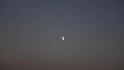 Half quarter moon celestial object still stable shot, empty clear sky, Stock Footage 281185145