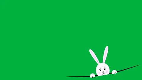 Half rabbit face on green background. Stock Illustration