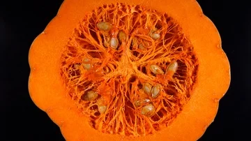 Half of raw pumpkin with seeds rotating against black background in 4K Video stock 86098343