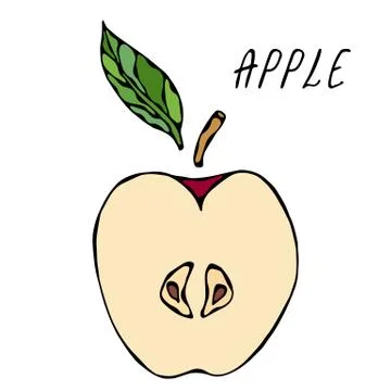 Half of Red Apple and Leaf. Fresh Fruit. Nutrition Diet. Autumn or Fall Veget Stock Illustration
