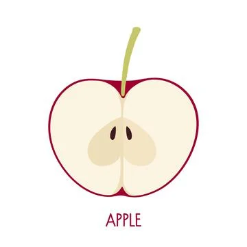 Half red apple. Flat icon Apple fruit with with twig and seeds isolated on white Stock Illustration
