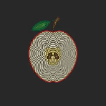 Half a red apple with a leaf, a cross-section of fruit in thin lines, linear  Stock Illustration