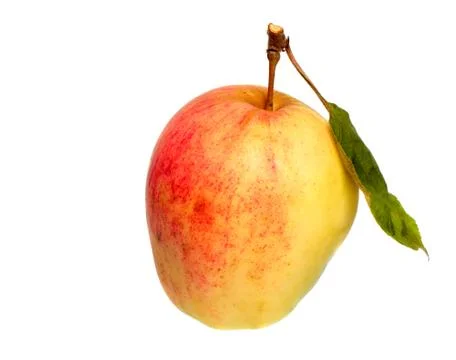 Half red apple Stock Photos