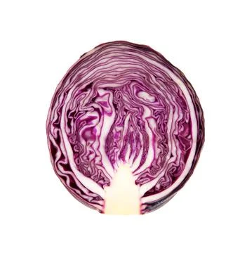 Half red cabbage Stock Photos