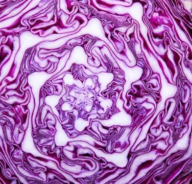 Half red cabbage in violet-white colors, background texture. Macro red cabb.. Stock Photos