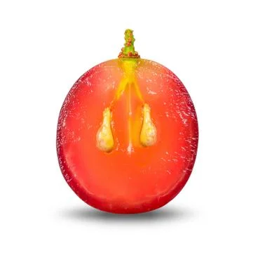 Half of red grape isolated with clipping path Stock Photos