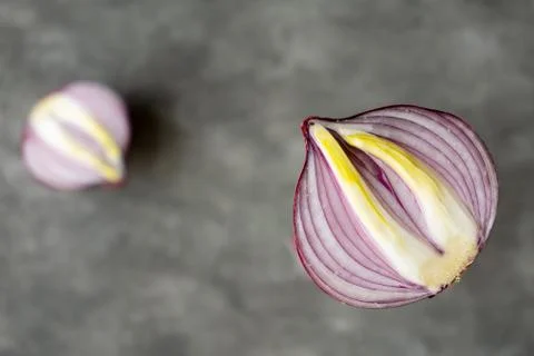 Half of red onion on right side close up. Copy space, creative photo. Stock Photos