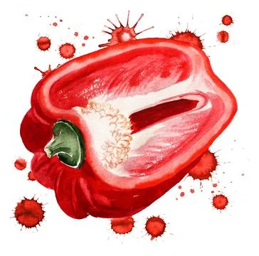 Half of red paprika Stock Illustration