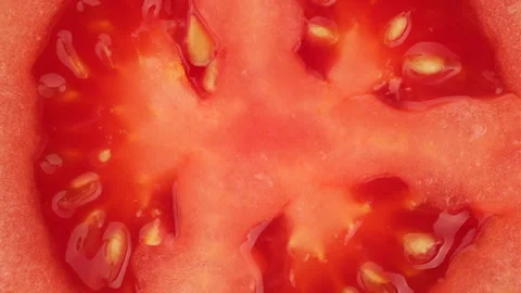 Half of red tomato rotating, macro Video stock 244225939