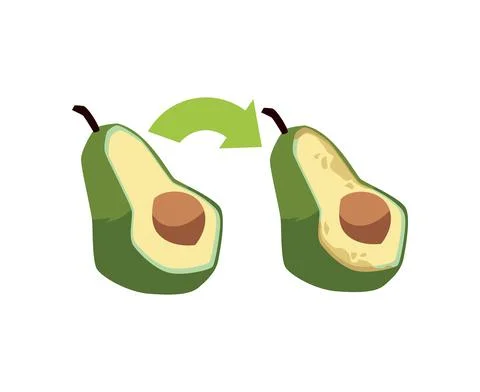 Half of ripe and spoiled avocado, fruit rotting process in flat vector Stock Illustration