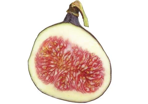 Half of ripe fig isolated on white background Stock Photos