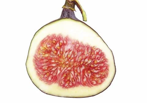 Half of ripe fig isolated on white background Stock Photos