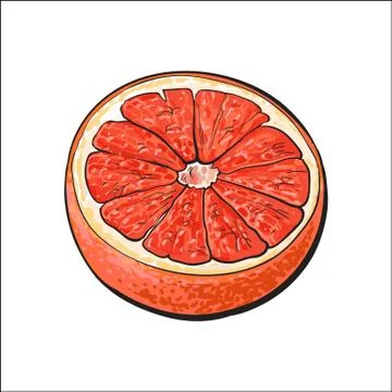 Half of ripe pink grapefruit, red orange, sketch vector illustration Stock Illustration