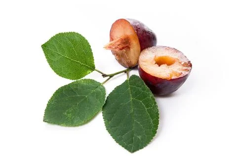 Half of ripe plum with leaf isolated on a white background.. Stock Photos