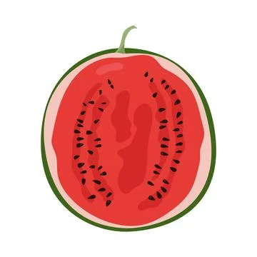 Half of ripe red watermelon vector illustration isolated on white background Stock Illustration