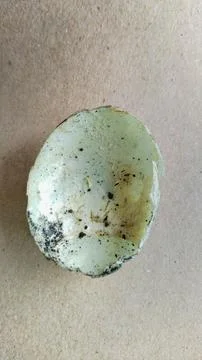 Half a salted egg shell Stock Photos