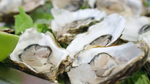 Half shell fresh oysters served on silver tray with ice cubes, lettuce leaves Stock Footage 232592260