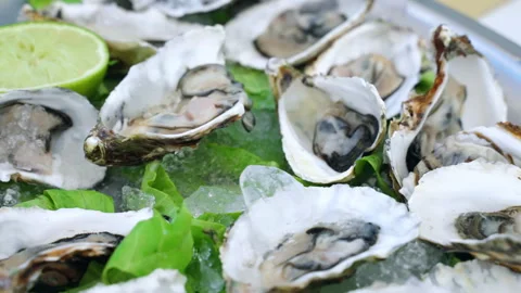 Half shell fresh oysters on silver tray in luxury mediterranean restaurant Stock Footage 244110022