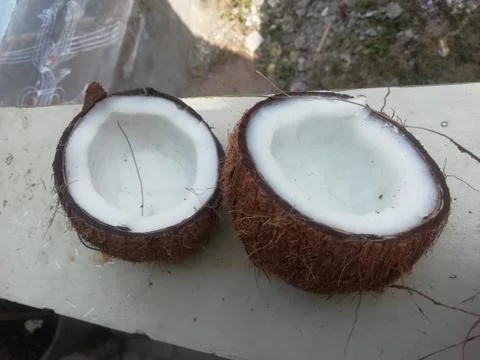 Half shells of coconut on a compound wall 스톡 사진