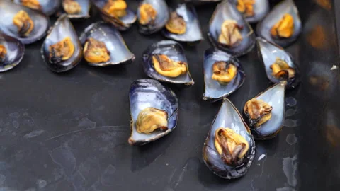 Half shells of cooked mussels scattered across a wet dark tray Video stock 346799775