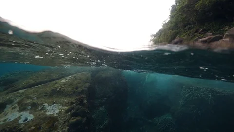 Half shot of scenic view between underwater and tropical island. Vídeo Stock 122095371