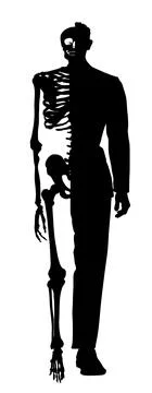 Half skeleton half man in suite vector silhouette illustration Иллюстрация