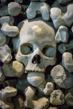 Half skull surrounded by bones Stock Photos