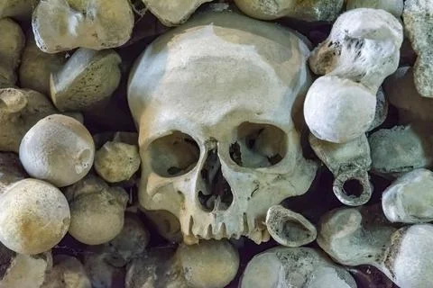 Half skull surrounded by bones Stock Photos