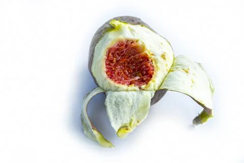 A half slice of fig on white background Stock Photos