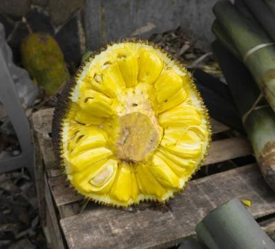 A half sliced of jackfruit with unique and sweet aroma photo taken in Bogor Stock Photos