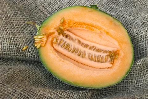 Half a small butternut squash melon Stock Photos