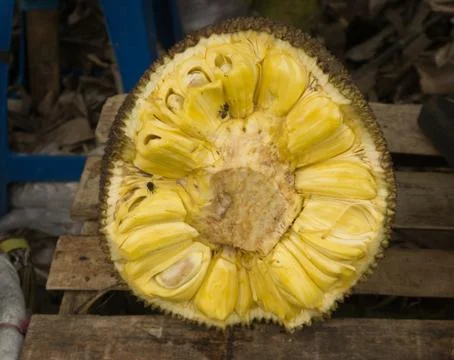 A half split of ripe jackfruit with beautiful yellow color and sweet taste photo Foto stock