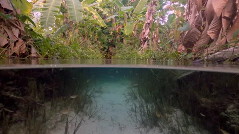 Half split underwater view of a Fervedouro (boiler) at Jalapao, Brazil Video stock 150951148