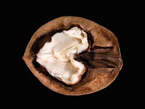 Half split walnut isolated on black Stock Photos