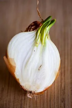 A half of a sprouting bulb or common onion and lying on a wooden cutting boar Foto stock
