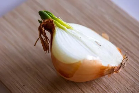 A half of a sprouting bulb or common onion and lying on a wooden cutting boar Stock Photos