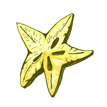 Half star fruit. Vector color vintage hatching illustration isolated Stock Illustration