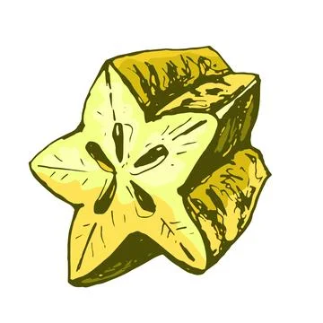 Half star fruit. Vector color vintage hatching illustration isolated Stock Illustration