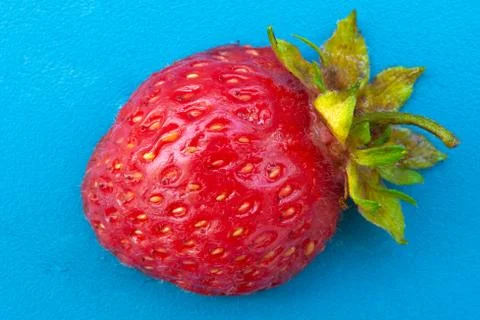 Half a strawberry on a blue background Stock Photos