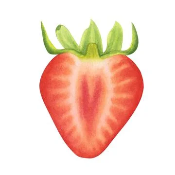 Half of a strawberry isolated on white background. Watercolor illustration. Stock Illustration