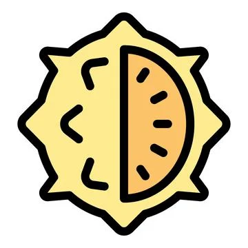 Half sun and half durian exotic fruit showing its inside Stock Illustration