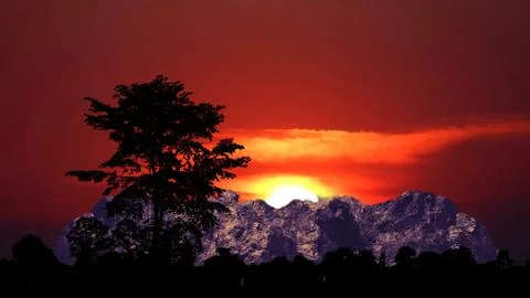 Half sun back red cloud on the sunset sky and silhouette tree on mountain Stock Photos